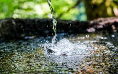 Living Water – A Deeper Look At Forgiveness
